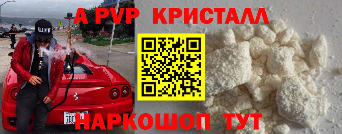 A PVP СК Новочебоксарск
