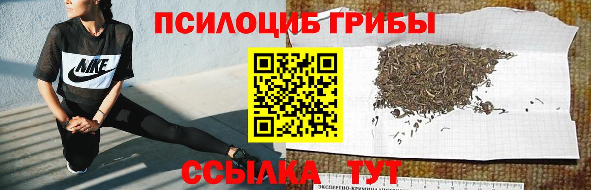Новочебоксарск  Псилоцибиновые грибы GOLDEN TEACHER  Вход с VPN 